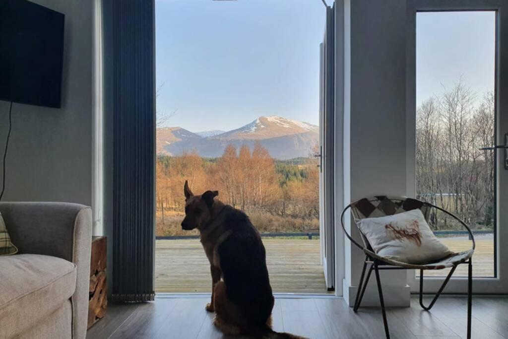 Ben Nevis Scotland Highlands, Camden House Luxury Villa